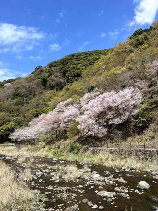 御浜岬の至福を一身に味わう 一軒家貸切宿で贅沢なバーベキューを楽しみながら夕陽に染まる戸田湾の美しさを満喫 沼津 外观 照片